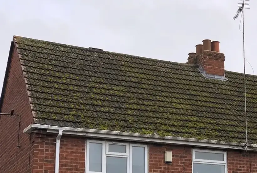 Before: Full roof clean in Worthing, roof covered in moss