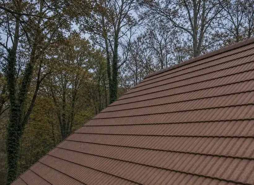 After: Full moss removal in Surrey, clean roof