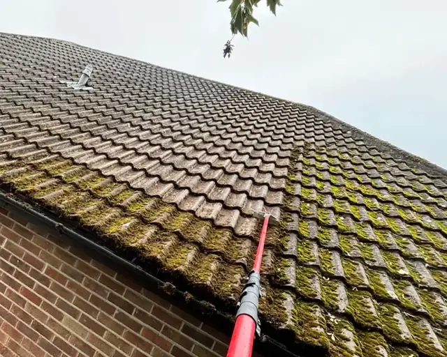 Moss being removed from roof tiles above the gutter