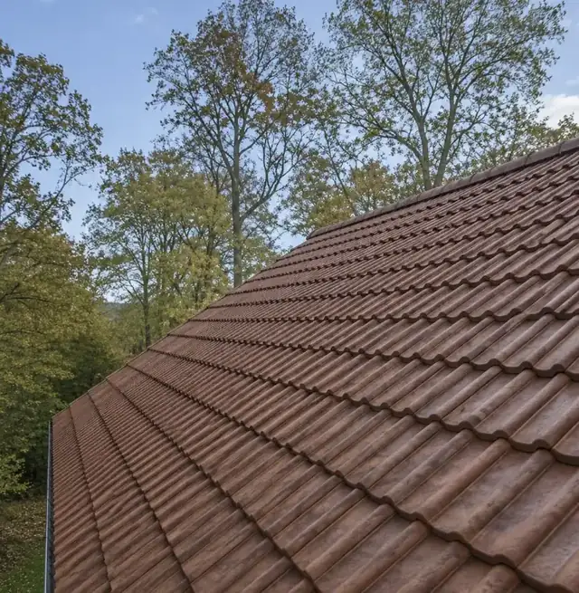 Clay tiled roof after a full clean