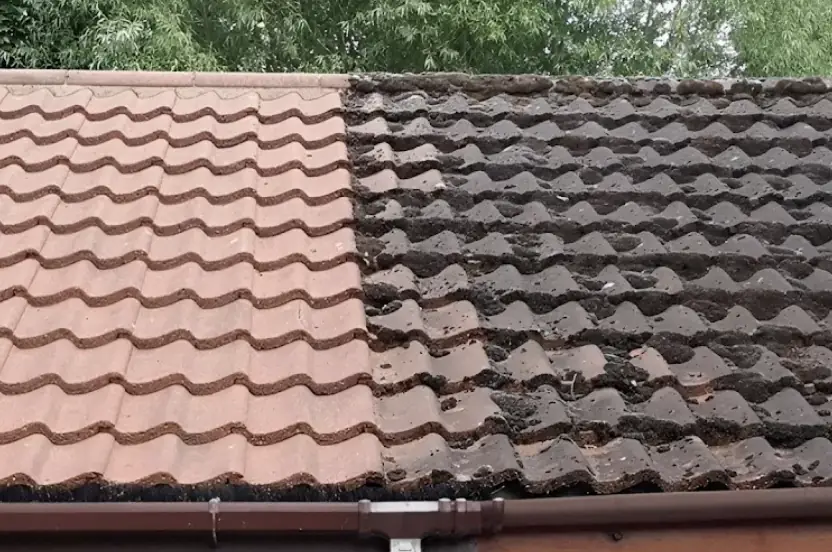 Terracotta tiles, cleaned on the left and still covered in moss on the right