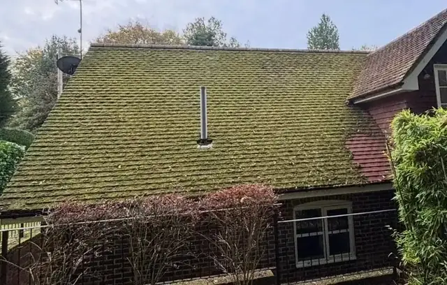 Roof covered in heavy moss before cleaning