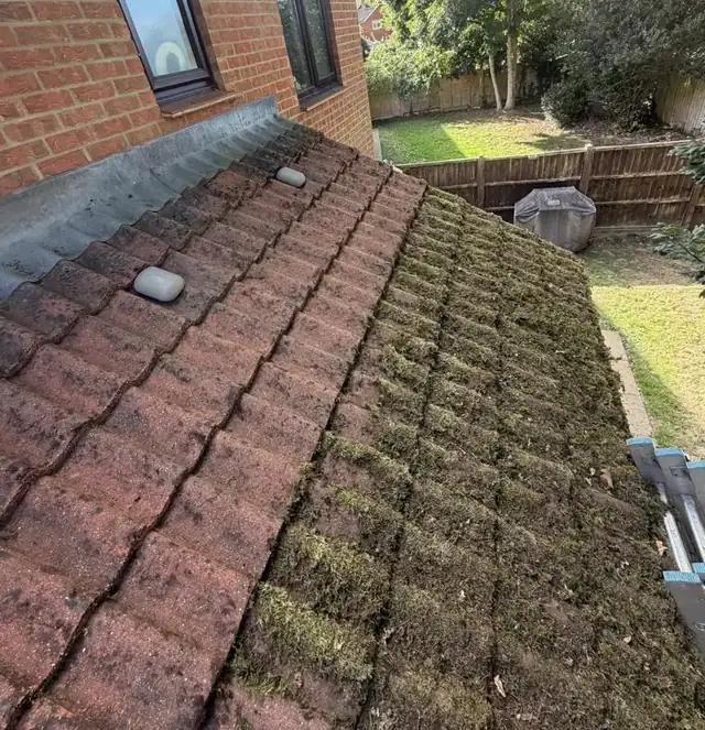 Roof half cleaned, moss removed from the left and still covering the right