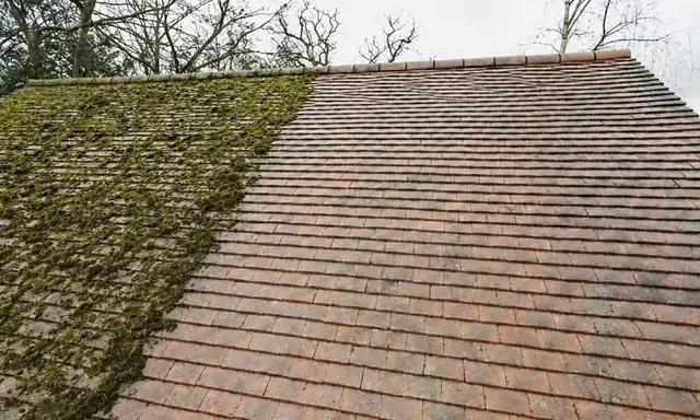 Terracotta roof, moss on one side and fully cleaned on the other