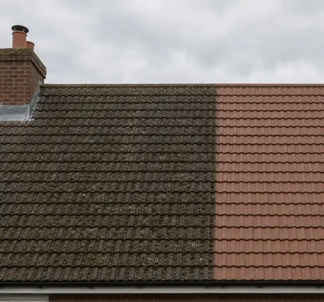 Tiled roof with a clear line between the cleaned and mossy sections