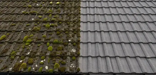 Grey roof tiles, mossy on the left and clean on the right