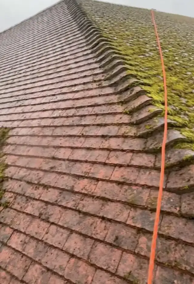 Long roof slope with moss cleared along the ridge