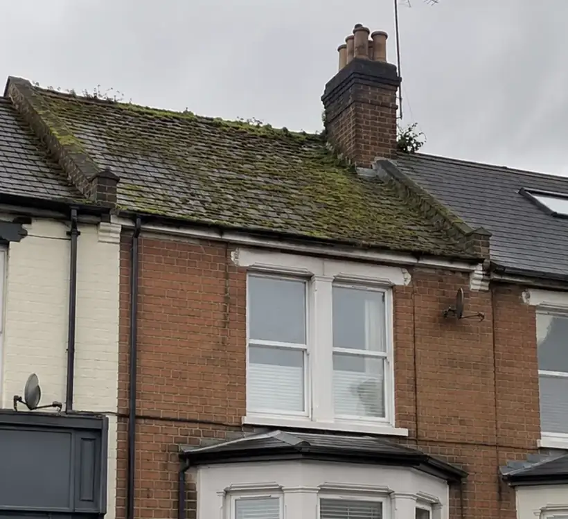 Before: Terraced house roof clean, roof covered in moss