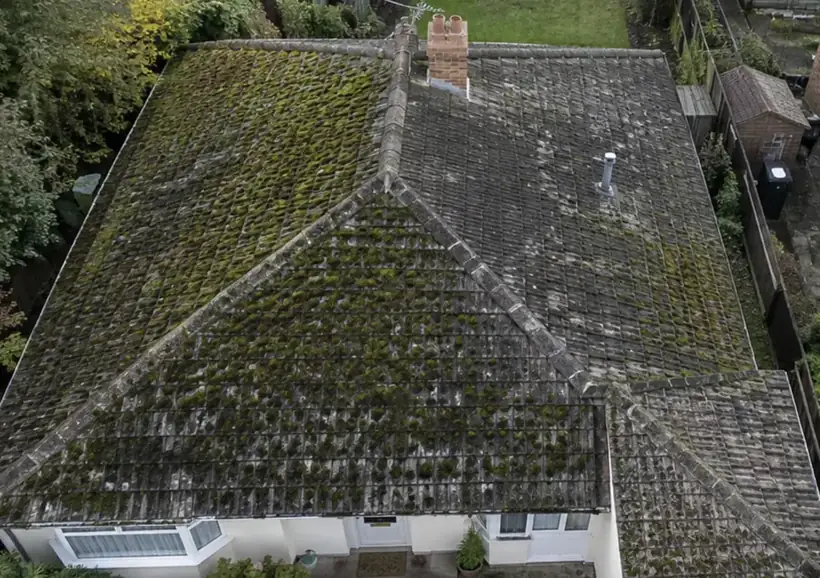 Before: Bungalow roof, moss removed, roof covered in moss