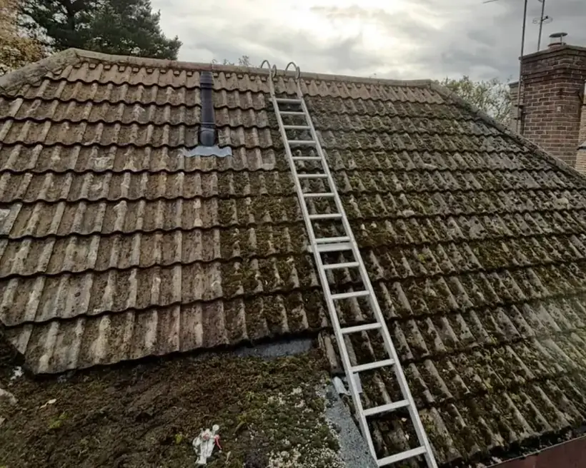 Arcline full roof clean in progress, moss removed from one side of the roof