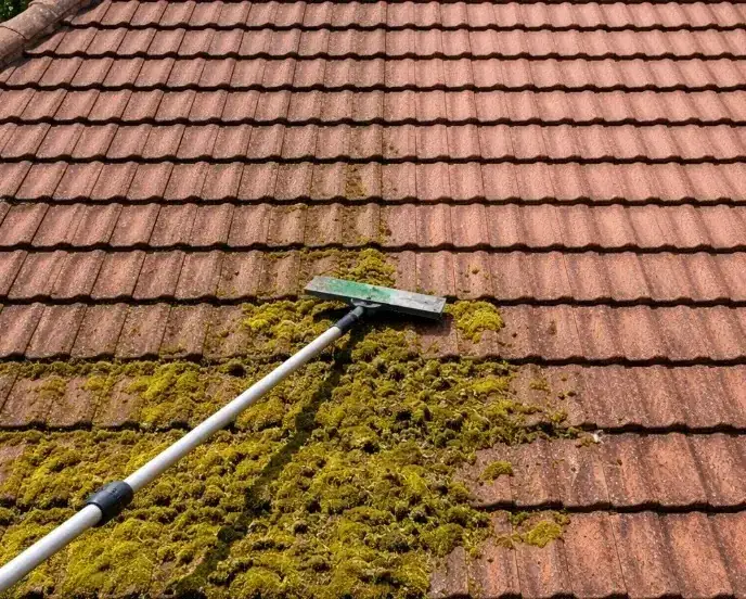 Moss being brushed from terracotta roof tiles